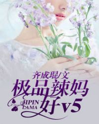 极品辣妈1-40集全